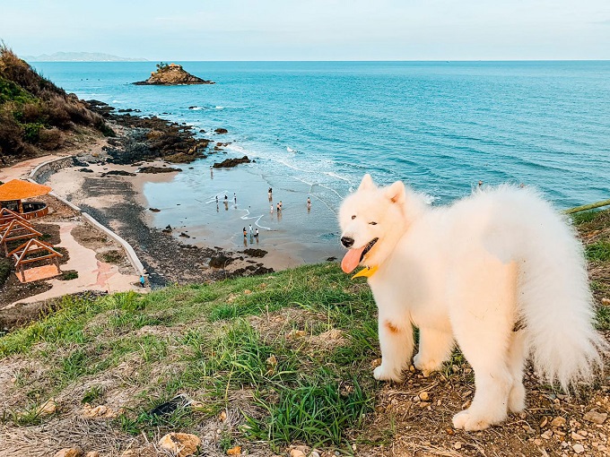 Long description image 1