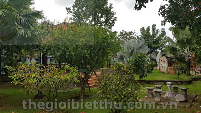 Long description image 1