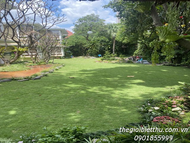 Long description image 1
