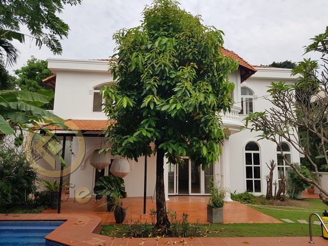 Long description image 1