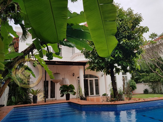 Long description image 1